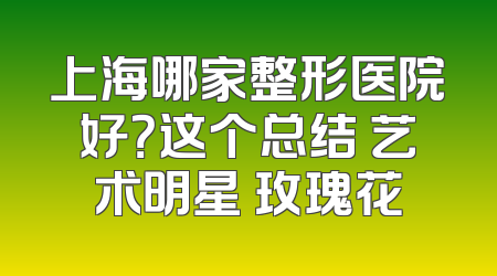 上海哪家整形医院好？这个总结 艺术明星 玫瑰花