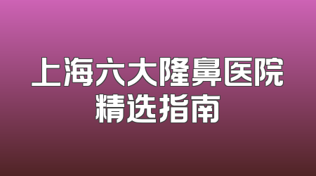上海六大隆鼻医院精选指南