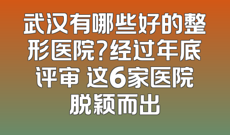 武汉有哪些好的整形医院？经过年底评审 这6家医院脱颖而出