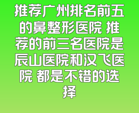 推荐广州排名前五的鼻整形医院 推荐的前三名医院是辰山医院和汉飞医院 都是不错的选择