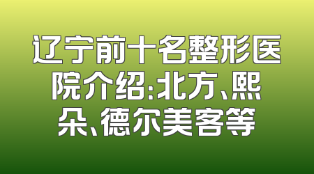 辽宁前十名整形医院介绍：北方、熙朵、德尔美客等