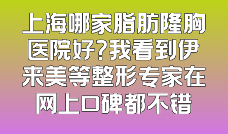 上海哪家脂肪隆胸医院好？我看到伊来美等整形专家在网上口碑都不错