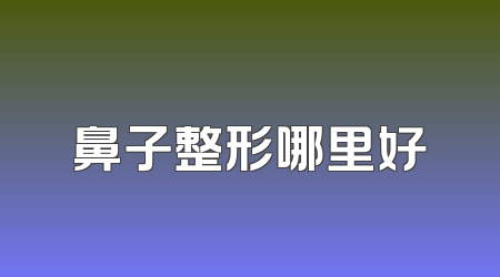 鼻子整形哪里好