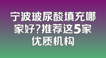 宁波玻尿酸填充哪家好？推荐这5家优质机构