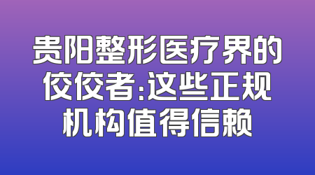 贵阳整形医疗界的佼佼者：这些正规机构值得信赖