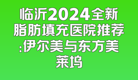 临沂2024全新脂肪填充医院推荐：伊尔美与东方美莱坞