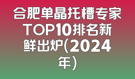 合肥单晶托槽专家TOP10排名新鲜出炉（2024年）