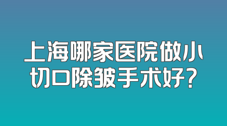 上海哪家医院做小切口除皱手术好？