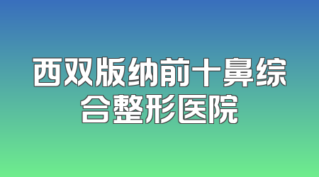 西双版纳前十鼻综合整形医院