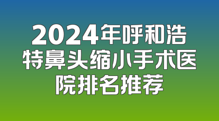 2024年呼和浩特鼻头缩小手术医院排名推荐