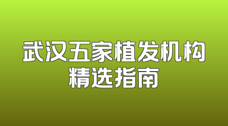 武汉五家植发机构精选指南