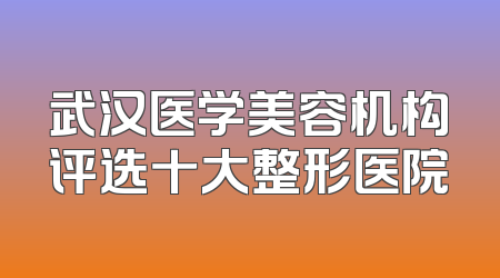 武汉医学美容机构评选十大整形医院