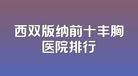 西双版纳前十丰胸医院排行