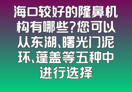 海口较好的隆鼻机构有哪些？您可以从东湖、曙光门泥环、蓬盖等五种中进行选择
