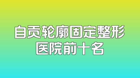自贡轮廓固定整形医院前十名