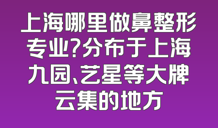 上海哪里做鼻整形专业？分布于上海九园、艺星等大牌云集的地方
