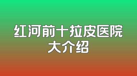 红河前十拉皮医院大介绍