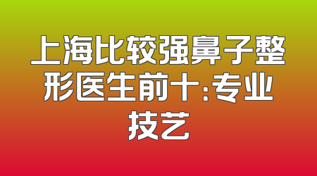上海比较强鼻子整形医生前十：专业技艺