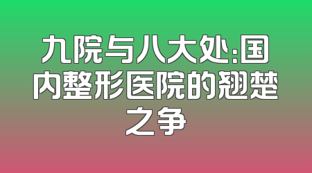 九院与八大处：国内整形医院的翘楚之争