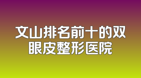 文山排名前十的双眼皮整形医院