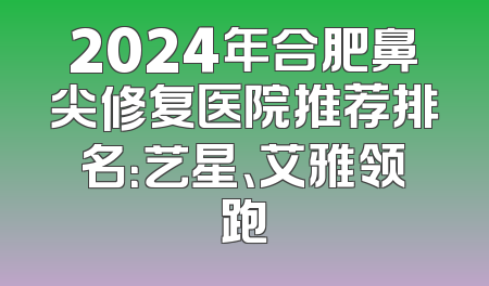 2024年合肥鼻尖修复医院推荐排名：艺星、艾雅领跑