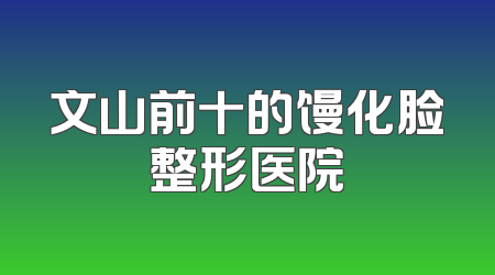 文山前十的馒化脸整形医院