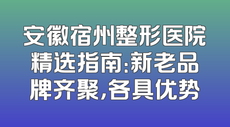 安徽宿州整形医院精选指南：新老品牌齐聚，各具优势