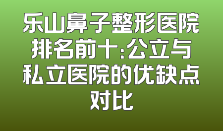 乐山鼻子整形医院排名前十：公立与私立医院的优缺点对比
