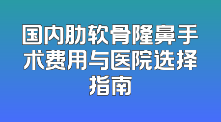 国内肋软骨隆鼻手术费用与医院选择指南