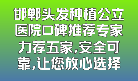 邯郸头发种植公立医院口碑推荐专家力荐五家，安全可靠，让您放心选择