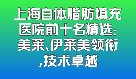 上海自体脂肪填充医院前十名精选：美莱、伊莱美领衔，技术卓越